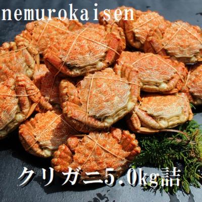ふるさと納税 根室市 【北海道根室産】クリガニ200〜250g×20〜25尾 D-57031