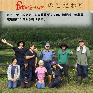 旬のこだわり 京野菜 セット 6～10種類＜ファーザーズファーム＞栽培期間中農薬不使用｜野菜 野菜詰め合わせ 野菜セット 京野菜 旬の野菜 新鮮野菜 ※北海道・沖縄・離島への配送不可