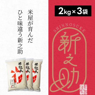 ふるさと納税 阿賀野市 【令和7年産】米杜氏 阿賀野市産 新之助 6kg
