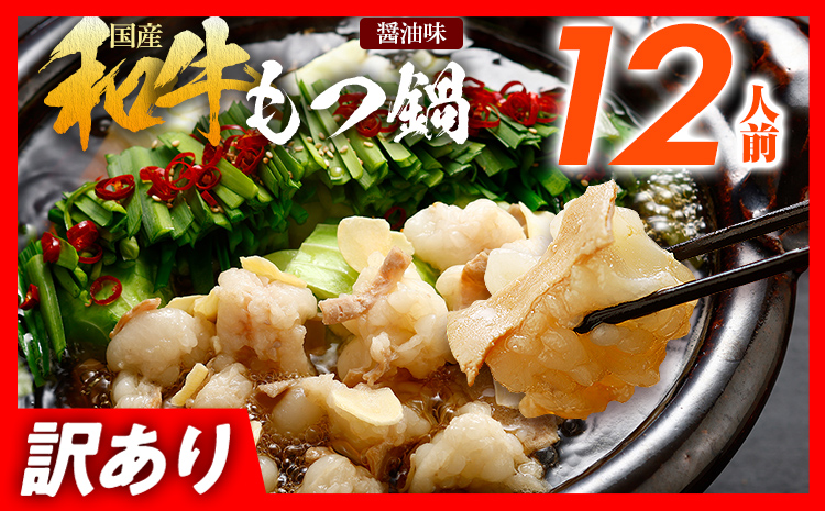 訳あり もつ鍋 醤油味 12人前 国産牛小腸