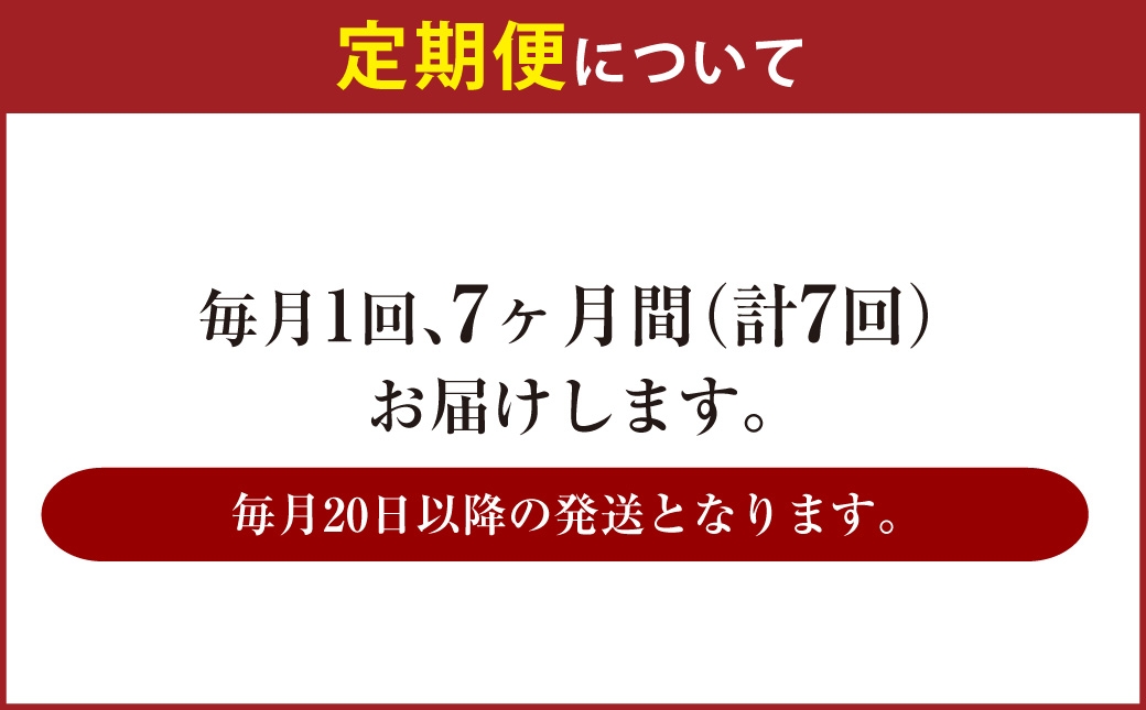 【定期便】アサヒ ザ・リッチ 500ml×毎月1ケース