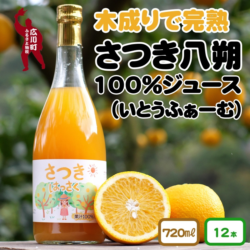 
▼超希少！越冬4月収穫の八朔「さつき八朔」100％ ストレートジュース 12本組 ※2024年4月下旬頃～順次発送予定 【ito100-720ml-12】
