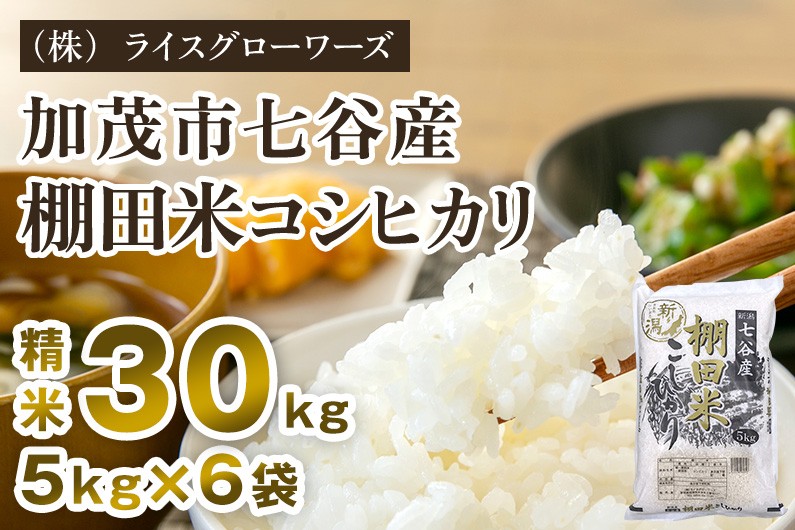 
                  【令和8年産新米先行予約】新潟県加茂市 七谷産 棚田米コシヒカリ 精米30kg（5kg×6）《10月上旬～順次出荷》 白米 （株）ライスグローワーズ
                