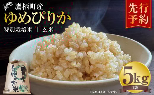 【令和7年産】 ゆめぴりか （玄米） 5kg  北海道 鷹栖町 たかすタロファーム 米 コメ こめ ご飯 玄米 お米 ゆめぴりか コメ 玄米 【2025年9月下旬より発送開始】