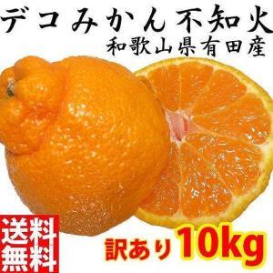 不知火(しらぬい) オレンジ みかん 家庭用 10kg