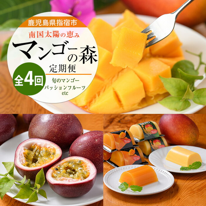 【ふるさと納税】【全4回定期便】完熟マンゴー＆トロピカルスイーツ定期便 鹿児島県 指宿産 南国 フルーツ 完熟 マンゴー 果物 くだもの パッションフルーツ マンゴースイーツ ゼリー プリン アイス 詰め合わせ ギフト【マンゴーの森】