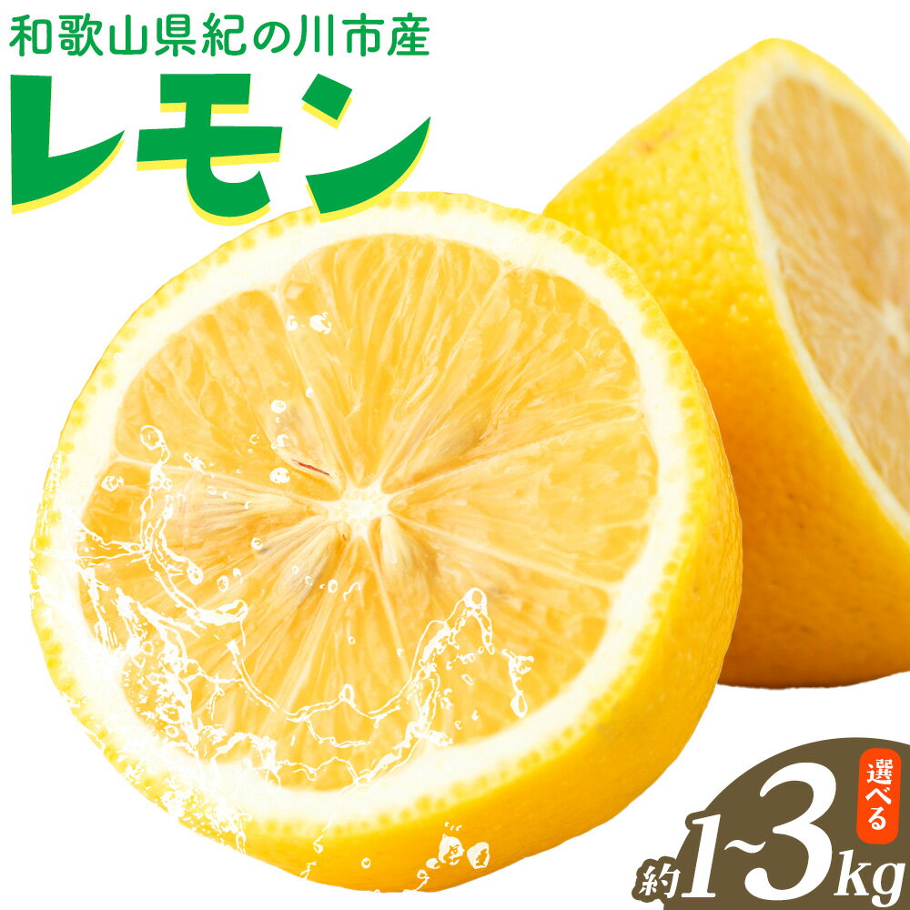 【ふるさと納税】和歌山県紀の川市産 レモン 選べる内容量 約1kg 約2kg 約3kg HAT-SHOP《11月上旬-5月中旬頃出荷》和歌山県 紀の川市 果物 フルーツ 檸檬 青果物 お菓子 飲料 料理
