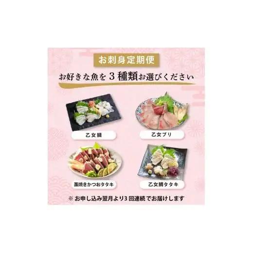 【 刺身 】 刺身定期便3ヶ月