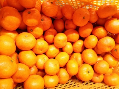 【先行受付】みかん 愛紅小町 あいかちゃん 約3kg 25～35玉【吉田レモニー 】【2025年10月上旬～2026年1月下旬発送】温州みかん 国産みかん 熊本県産みかん 宇城市産みかん