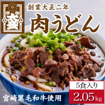ふるさと納税 宮崎市 《大盛うどん》肉うどん　冷凍なま麺5食セット