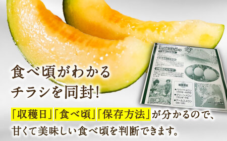 【2026年7月下旬-発送】【平成新山メロンPREMIUM（とみちゃん厳選）】アールスメロン 1玉 / メロン めろん 青肉 糖度 果物 くだもの フルーツ ふるーつ 旬 高級 ギフト / 南島原市 