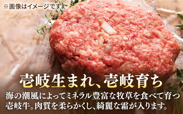 【全2回定期便】壱岐牛 A5ランク 牛ミンチ 約500g×6《壱岐市》【KRAZY MEAT】 小分け ミンチ 挽き肉 ひき肉 牛肉 赤身 ハンバーグ 肉 個包装 [JER090]