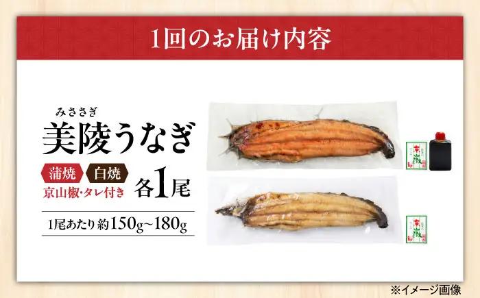 【全6回】鰻 鰻の蒲焼1尾×白焼1尾 紅白セット BLAM010
