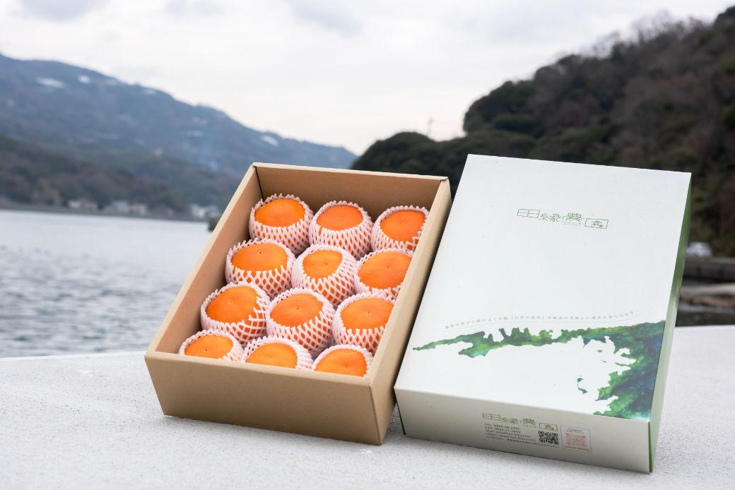
            【先行予約】【奇跡の1％】【糖度15度】UWAKAI PREMIER 縁（せとか/藍染布・桐箱）（720ml/1本） 【 ふるさと納税 人気 おすすめ ランキング みかん ミカン 蜜柑 フルーツ 果物 贈答 贈り物 お土産 ギフト 旬 せとか 甘い 愛媛県産 田縁農園 愛媛県 伊方町 送料無料 】 IKTA041
          