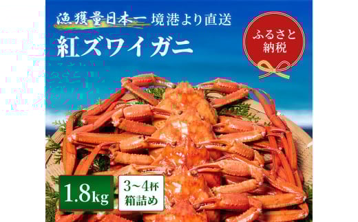 【蟹セレブ】 訳あり ズワイガニ（紅ズワイガニ）】1.8kg箱詰め（3から4杯） 冷蔵 カニ ボイル 紅ズワイガニ 新鮮 ズワイガニ ずわいがに 期間限定 国産 鳥取県 倉吉市