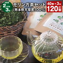 【ふるさと納税】【定期便】【2ヶ月毎3回】モリンガ茶セット（熊本県天草産100%） 計120個 40個（20個×2パック）×3回 ティーバッグ お茶 茶葉 日本茶 モリンガ葉 ノンカフェイン 健康 小分け 国産 熊本県 上天草市 送料無料