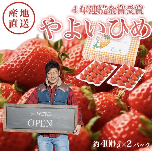 金井いちご園のいちご（やよいひめ）　５箱（大粒いちご約400g×2パック／1箱）
