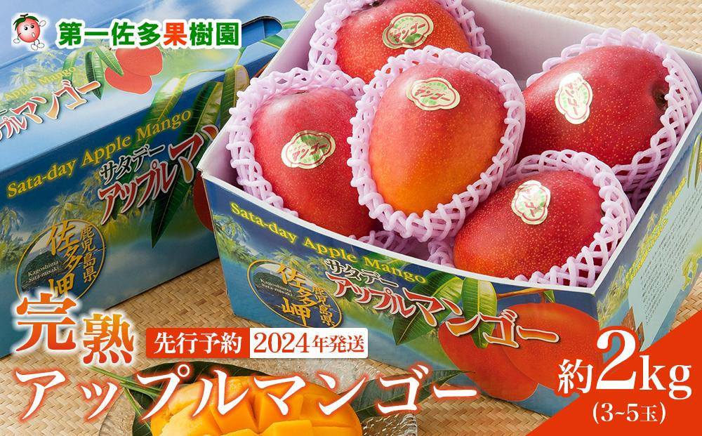
            【先行予約】☆本土最南端☆佐多の果樹園で育てた 完熟アップルマンゴー 2kg (3～5玉)
          