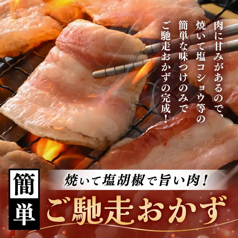 【ブランド豚】ふくいポーク 豚バラ焼肉 2.4kg（300g × 8パック）国産肉 冷凍 [e02-b019]