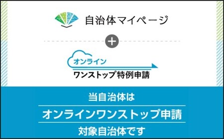 【A4 ・ A5】 博多和牛 サーロインステーキ 約750g （約250g × 3P） ／ 肉 お肉 おにく 牛肉 和牛 牛 うし 黒毛和牛 国産牛 国産黒毛和牛 国産 サーロイン ステーキ A5等級