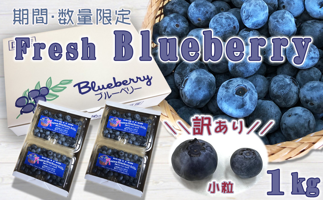 
            《数量限定》【訳あり】農園直送！小粒な『生ブルーベリー』 １kg　[0014-0037]
          