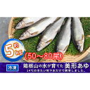 【ふるさと納税】箱根の水が育てた美形あゆ【冷凍 約5kg（50～80尾）】　魚貝類・鮎・アユ