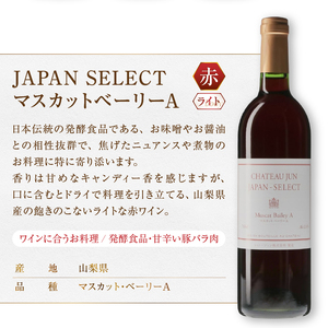 ワイン シャトージュン【JAPAN SELECT】マスカットベーリーA デラウェア 2本セット（MG）B12-804