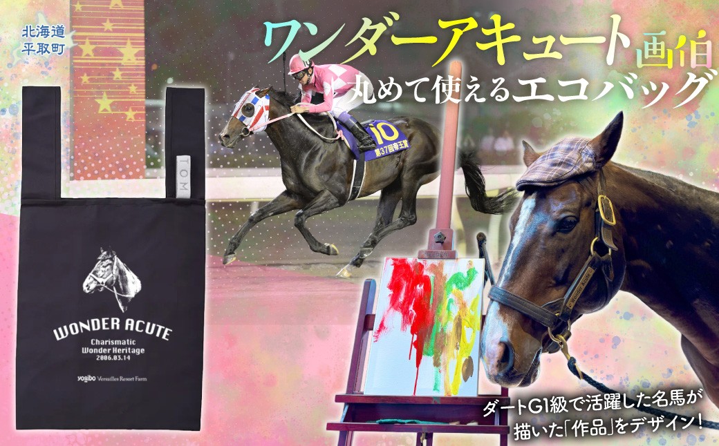 
                  【ワンダーアキュート】丸めて使えるエコバッグ 【ふるさと納税 人気 おすすめ ランキング 馬 競馬 競走馬 引退馬 ワンダーアキュート 鞄 バッグ エコバッグ 買い物 生活 日高 北海道 平取町 びらとり 送料無料】 BRTV204
                