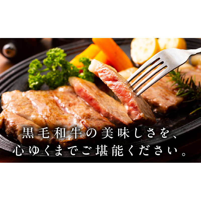 A5/A4等級 黒毛和牛 サーロインステーキカット 合計4kg（250g×16P）【極味付け肉】 CFX0014_イメージ5