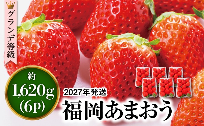 
                  【先行受付】あまおう いちご 1,620g ( 約 270g × 6パック ) 【2027年3月初旬以降順次発送】 糸島市 / 株式会社HSP-テクノ [AZL002] グランデ 等級 福岡県産
                