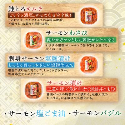 ふるさと納税 根室市 おつまみ刺身サーモン6種セット(6種計6個) A-09152 |  | 01