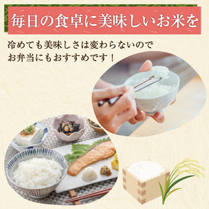 【ふるさと納税】令和8年産 福岡県産 ブランド米「元気つくし」無洗米 10kg [a7258] 株式会社 ゼロプラス 【返礼品】添田町 ふるさと納税