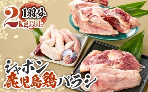 1576 唯一の国産 幻の鶏肉 シャポン鹿児島鶏バラシ 2kg以上　KN048-003