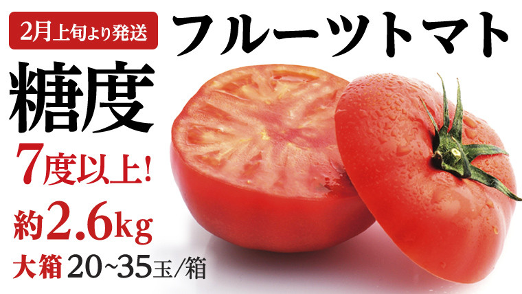 
            《 2026年収穫分 先行予約 》 糖度7度以上 フルーツトマト 大箱 約2.6kg × 1箱 (20～35玉/1箱) ブランドトマト 野菜 ギフト 贈答 [BC018sa]
          