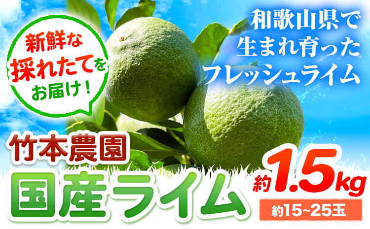 【先行予約】ライム 国産 ライム 約1.5kg ( 15〜25玉 )《9月下旬-12月中旬頃出荷》竹本農園 和歌山県 日高川町 産地直送 旬 新鮮 果物 柑橘 らいむ フルーツ 国産 送料無料(f)