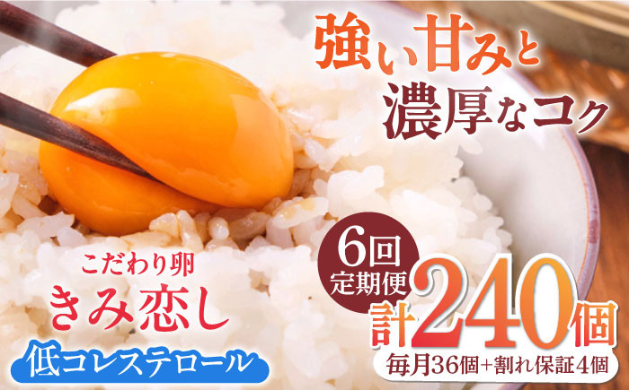 
【6回定期便】きみ恋し 箱入り 40個（36個+割れ保証4個）×6ヶ月　総計240個 たまご 卵 玉子 タマゴ 鶏卵 濃厚 玉子焼き 卵焼き オムレツ たまごかけご飯 冷蔵 広川町 / 伊藤養鶏場 [AFAJ008]
