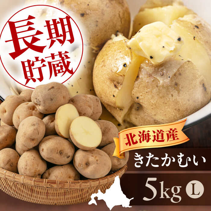 【ふるさと納税】先行予約 じゃがいも きたかむい 5kg 《喜茂別町》【Aコープようてい】 ジャガイモ 野菜 季節の野菜 詰め合わせ 北海道 産地直送 [AJAK029] 6000 6000円 6千円