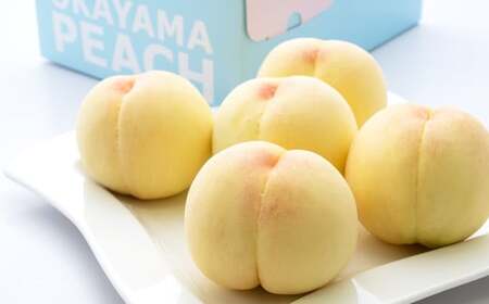 【ご家庭用】 岡山白桃 4~5玉 計約1.2kg 【2025年6月下旬～7月下旬発送予定】 ／ 白桃 桃 もも モモ