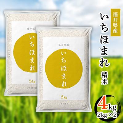 ふるさと納税 勝山市 【令和7年度産】福井県産　いちほまれ(2kg×2)