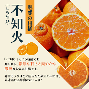 しらぬひ 讃岐 柑橘 デコポン しらぬひ【約3kg】【先行予約】
