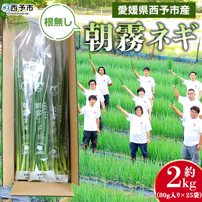 【ふるさと納税】＜愛媛県西予市産 朝霧ネギ 約2kg（80g入り×25袋）＞ 根無し 西予市産 愛媛県産 国産 野菜 やさい 青葱 青ネギ 青ねぎ 葉ネギ 葱 ねぎ 特産品 株式会社ノムランド 愛媛県 西予市【冷蔵】『1か月以内に順次出荷予定』