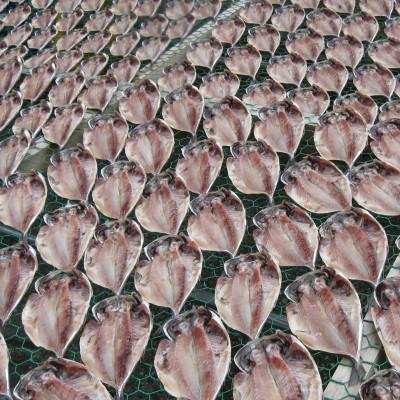 ふるさと納税 伊東市 金目鯛姿煮(L)・長崎あじ天日干しひもの詰め合わせ |  | 02