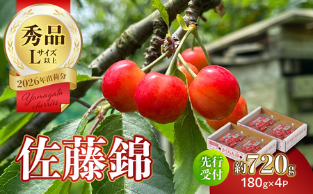 【2026年度先行受付】★さくらんぼ佐藤錦★約720g 秀品 【6月より順次発送予定】 063-011