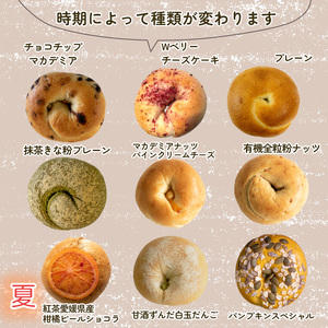 ベーグル専門店 BAGELラクダピクニック バラエティベーグルセット パン ベーグル 国産 ベーグル 焼き立て ベーグル 9個セット ベーグル 詰め合わせ ベーグル 松山市 愛媛【RP002_x】