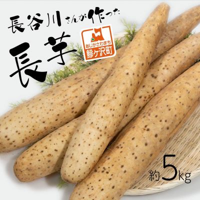 【ふるさと納税】長谷川さんが作った長芋（約5kg）　お届け：毎年12月上旬～翌年5月下旬の配送です。