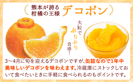 【12ヶ月定期便】デコポン・甘夏缶詰セット 計10缶入り《お申込み月の翌月より出荷開始》