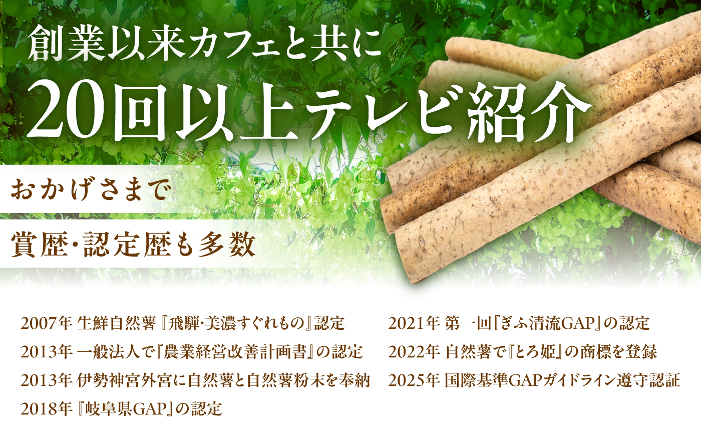 自然薯冷凍とろろ（180g×2）360g / 自然薯 とろろ 小分け / 恵那市 / 水戸屋 [AUFZ002]