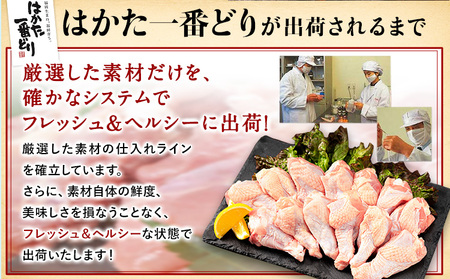 はかた一番どり 手羽元 4500g 合計4.5kg 約300g×15パック《30日以内に出荷予定予定(土日祝除く)》 大容量 鶏肉 鳥肉 冷凍  株式会社あらい