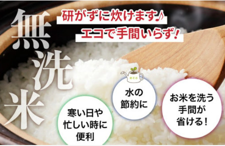 無洗米 ひとめぼれ 5kg 5回定期便  |  無洗