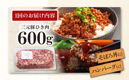 【全6回定期便】平田牧場 ひき肉 600g 豚肉 餃子 つくね [AJAP120]